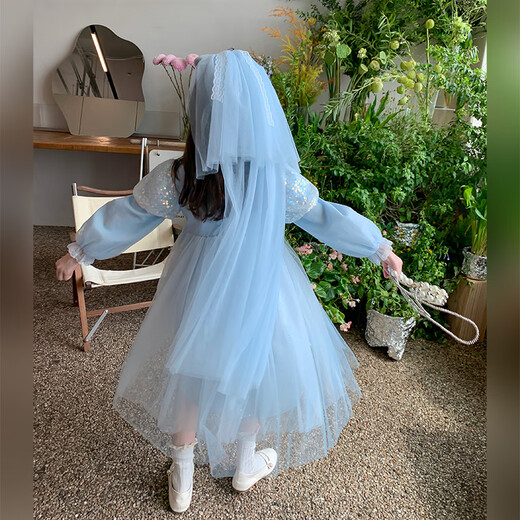 Annie Youer Elsa Princess Dress Girls Autumn Skirt 2025 Spring and Autumn New Frozen Girl Elsa Dress Autumn Blue 110