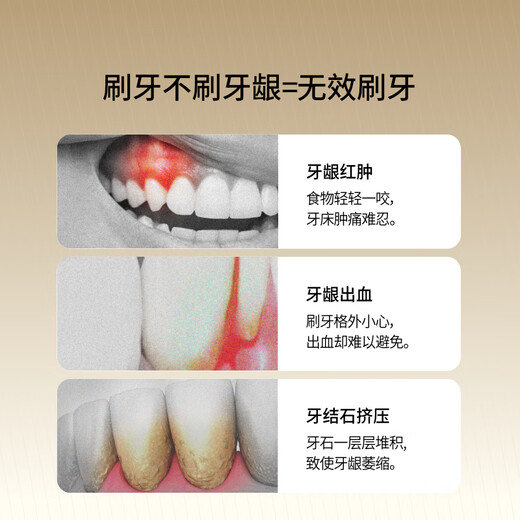 惠百施65孔宽头软毛牙刷超高效Pro+成人口腔清洁护龈日本进口牙刷套装 软毛7列 1支 【65孔宽头】