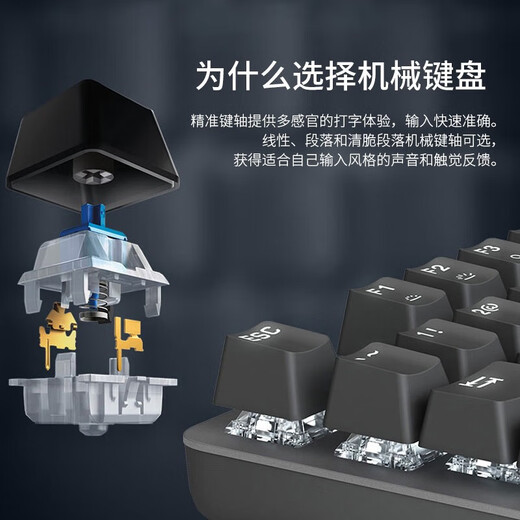 罗技（Logitech）K845机械键盘背光有线键盘 游戏电竞键盘 茶青红轴键盘DIY键帽 办公游戏键鼠套装 全尺寸104键盘 K845+M650 M 键鼠套装 茶轴