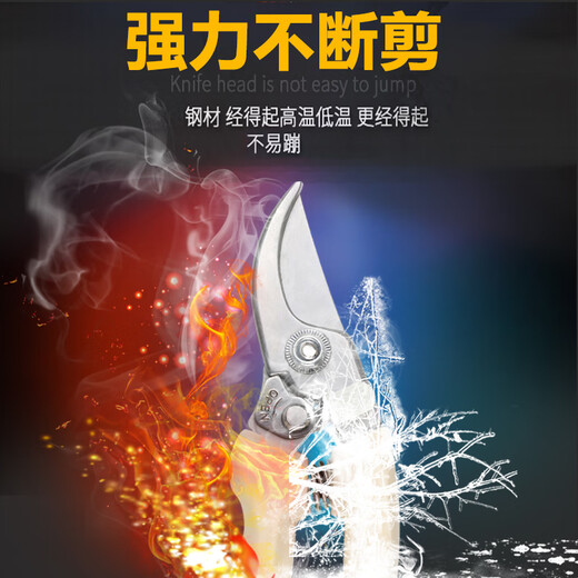 剪树枝专用剪刀园林园艺修枝剪不锈钢修剪树枝果树剪刀家用花艺剪 SK501白修枝剪14116不锈钢橙摘果