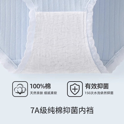 都市丽人内裤女纯棉全棉抗菌100%棉裆2025新款a类可爱少女春秋三角裤 761【装】多巴胺蓝兔兔 5条 L [建议85-105斤]