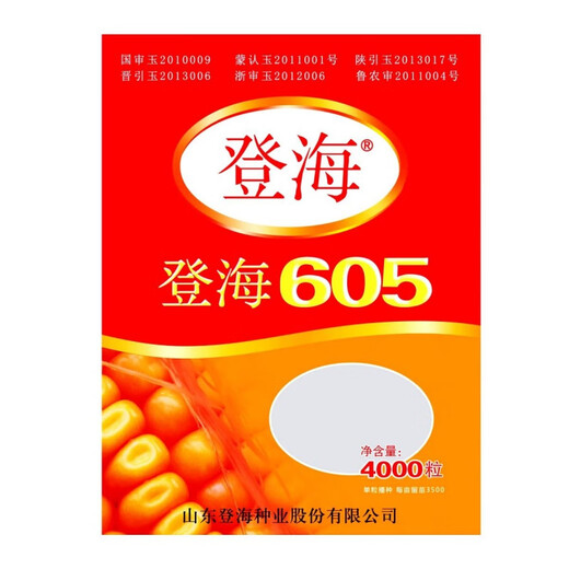 National-approved new species Denghai 605 corn seeds, double national-approved short-stem, high-yielding, red-shaft, large-cob corn seeds, national-approved quality Denghai 605, one bag, 4,000 grains, 1 mu of land