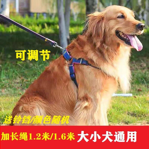 OIMG dog leash large medium-sized small dog chain dog collar Teddy golden retriever dog walking leash pet supplies Chest and back + leash (red two-piece set) [M] Recommended 8-20 Jin [Jin equals 0.5 kg]