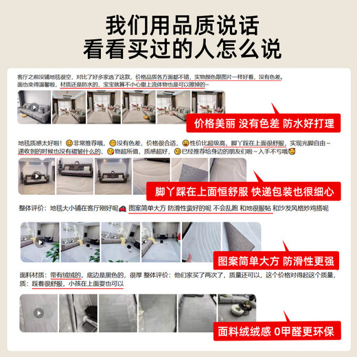 Silver shield living room carpet light luxury 2024 new waterproof free washable wipeable sofa coffee table floor mat large area full store Shiwei-13566 300*400cm [suitable for U-shaped sofa]
