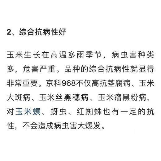 New species Fengda Jingke 968 corn seed, high yield, drought resistant, short stem, disease resistant, big stick resistant to lodging, Academy of Agricultural Sciences variety, new species Shikoku Shenjingke 968 4000 grains, 5 bags