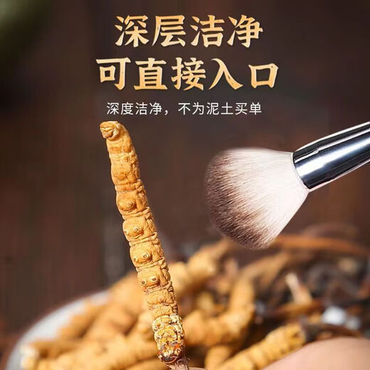 康源藏草地高档送礼品长辈同事岳父母高档冬虫夏草虫草礼盒装干货滋补品 冬虫夏草3根一克【50克礼盒装】