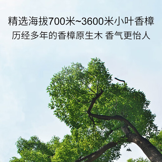 LYCOCELLE camphor wood strips are mildew-proof, insect-proof, moth-proof and odor-removing small-leaf camphor original woody fragrance household wardrobe insect repellent 5 tablets 2 packs