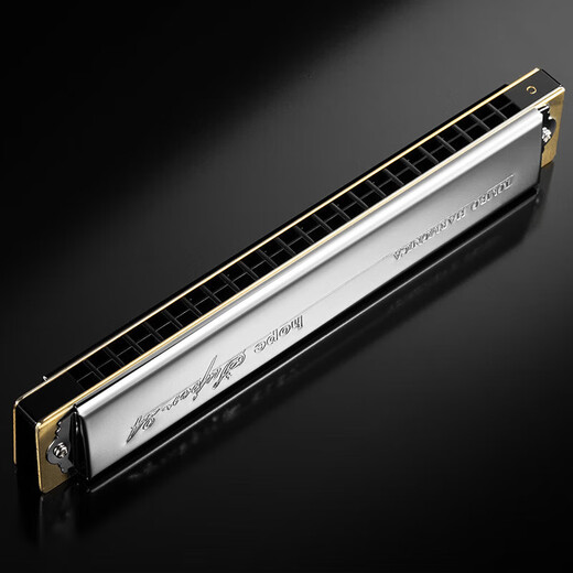 TOMBO 6624S Polyphone 24-Loch-Mundharmonika für Erwachsene, fortgeschrittene professionelle Tongbao-Mundharmonika für Anfänger, C-Taste, 24-Loch-12-teiliges Set + Gigbag, keine Geschenke