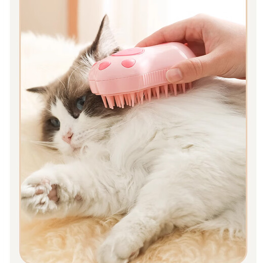 Pilot Pet Spray Massage Comb One-click Spray Anti-Flying Hair Massage Bathing Cat and Dog Hair Grooming Artifact Cat Claw Brush