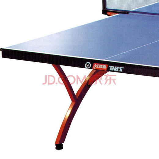 Double Happiness DHS table tennis table indoor table tennis table for training and competition (T2828) with grid/racquet/table tennis