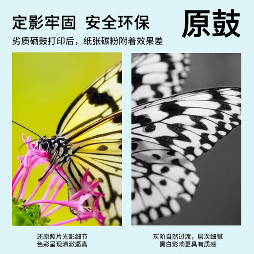 原鼓正品墨水 适用爱普生 Epson L805墨水彩色墨仓加墨式多功能打印机墨盒喷墨打印机填充674墨水 淡青色-LC【T6745】高清墨水