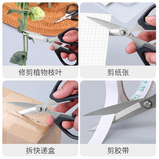 Zhang Xiaoquan Zhang Xiaoquan Schere Haushalt kleine Schere spitze Schere Büro Schreibwaren multifunktionale Edelstahl leistungsstarke Gartenarbeit Blumenkunst SSN-125