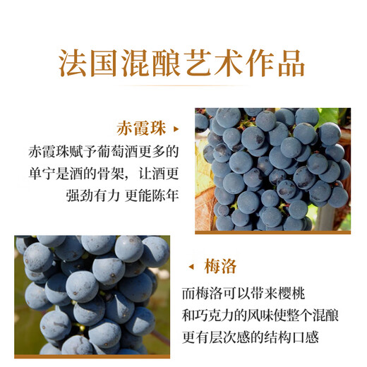 圣芝（Suamgy）G680波亚克AOC 赤霞珠干红葡萄酒 750ml 单瓶装 法国进口红酒