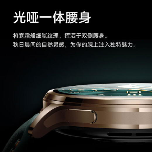 Honor Watch 4Pro eSIM Independent Call Number One Dual Terminal Bluetooth Smart Watch Men's and Women's Sports Business Phone Watch Watch 4pro Brown [Give Silver Diamond Strap*1+ Humidifier+ Charging Head+ Film]