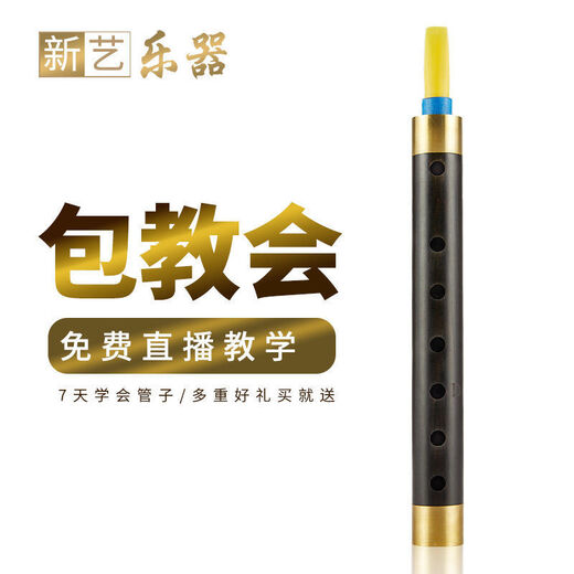 Neue Kunst (Xinyi) Musikinstrumente Professionelle Ebony Pipe Instrument Tränengasgang Anfänger Professionelle Erwachsene Spielen Windmusik verbessert Ebony D Tune + 8 Hauptgeschenke