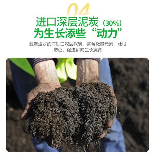 Modified Hualeduo succulent soil special granular soil 70% succulent nutrient soil paving stone seedlings into old piles general type 5Jin Jin equals 0.5 kg