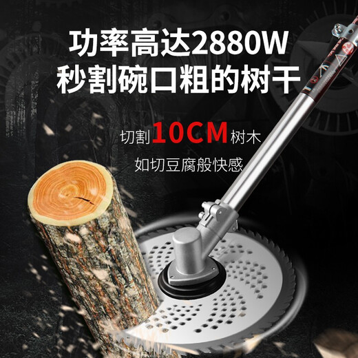 道什威尔（TOSRWELL）多功能家用电动割草机充电式大功率除草机锂电池打草机电动农具 顶配款3880W+30A+高枝锯+礼包