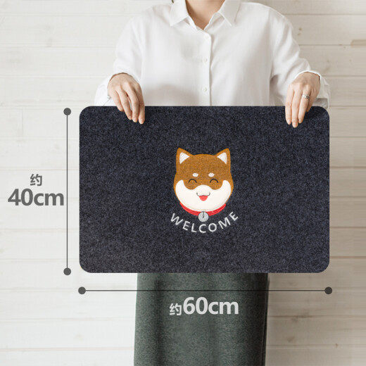 Fuju entrance door floor mat is water-absorbent and non-slip and can be cut to 40*60cm for small dogs