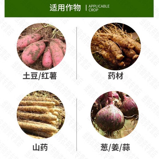 Green Silver 60% Choline Chloride Underground Rhizome Expansion Sweet Potato Peanut Potato Sweet Potato Peanut Garlic Onion Ginger Expansion 100ml