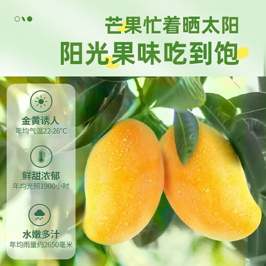 昌茂香醇芒果干零食休闲大片厚切金煌脯海南热带水果特产办公室小吃 【3袋】共684g