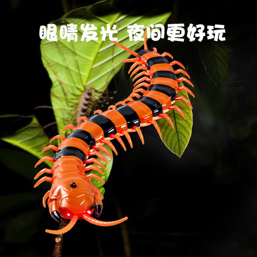 ZF儿童电动遥控蜘蛛玩具爬行仿真动物4-6岁男孩女六一儿童节的礼物 黄黑遥控蜈蚣9901+螺刀官方标配