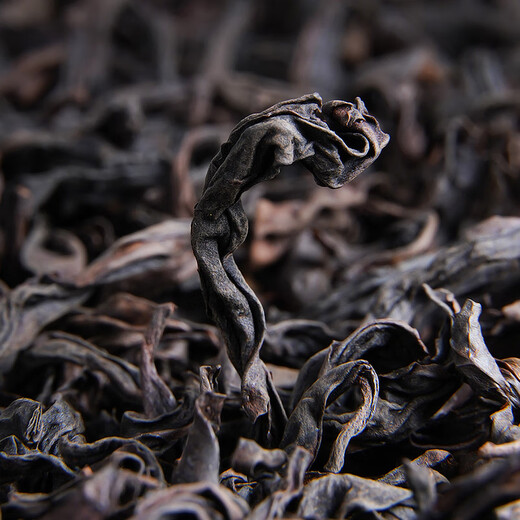陈一凡肉桂茶茶叶武夷高山乌龙茶岩茶浓香型口粮自己喝罐装200g源头直发