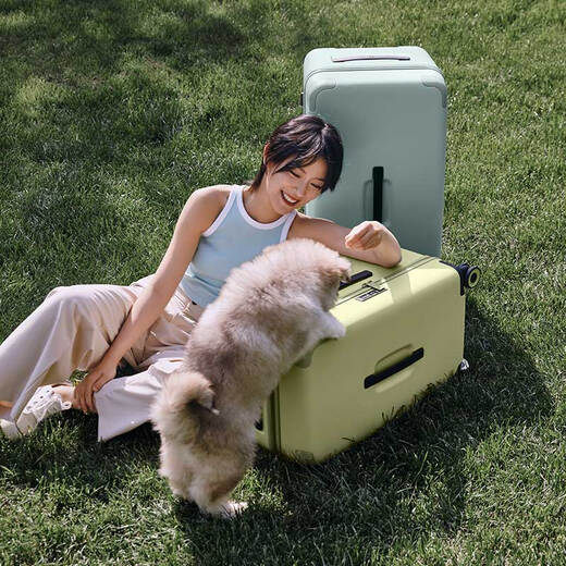 【95成新】米家小米行李箱24英寸拉杆箱箱大容量旅行箱万向轮男密码箱女牛油果绿