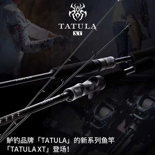 Daiwa 24 Neues Produkt Tatula XT Spider Perch Rod Barch Mandarin Fisch Universal Köder Langwurst Stange 2,03 Meter 682 mlfs Gerade Griff