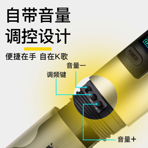 Ringing Wireless Microphone Handheld Microphone Outdoor Performance Singing Audio Amplifier Universal Anti-Howling U-section Hosting Conference Training Speech Trolley Speaker One to Two Wireless Microphone Champagne Gold