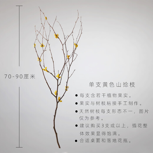 Aesthetic Hacker Handmade Birch Trunks Mountain Twisted Magnolia Branches Bouquet Living Room Decoration Dried Flowers Real Flower Flower Arrangement Home Indoor Three Mountain Twisted Yellow Branches More Affordable