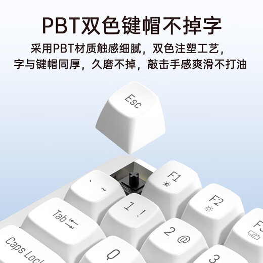 Aston Hola111 true mechanical keyboard wireless 2.4G gaming e-sports home office keyboard desktop laptop multi-key no punch 100% configuration cloud white