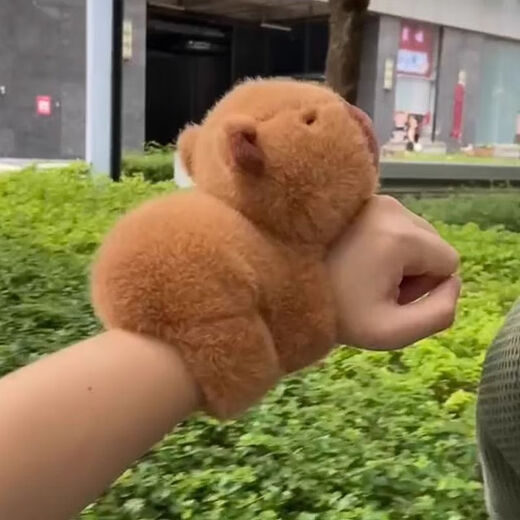 Hkgx kapibala Pantal