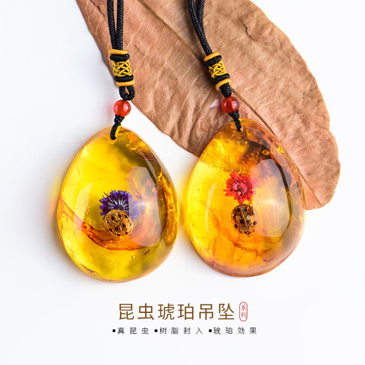 Everlasting Leaf Insect Specimens Amber Pendant Scorpion Butterfly Spider Real Insect Necklace Pendant Personalized Creative Pendant Gift 08# Copper Flower Golden Turtle