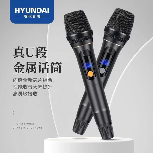 HYUNDAI modern home theater ktv audio set home k song computer TV living room karaoke full set conference room card package store professional amplifier speaker equipment