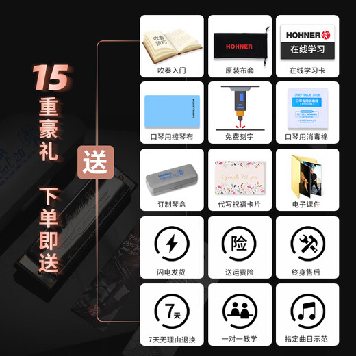 HOHNER sous licence allemande et importée SP20 blues harmonica 10 trous adulte débutant Special20 clé C 10 trous