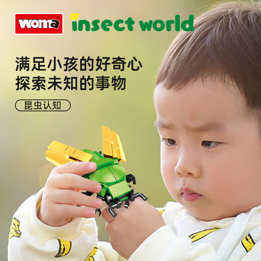 WOMA昆虫积木仿真动物拼装模型机甲摆件成人元旦男孩儿童玩具生日礼物 蜻蜓-4只装【674颗粒】