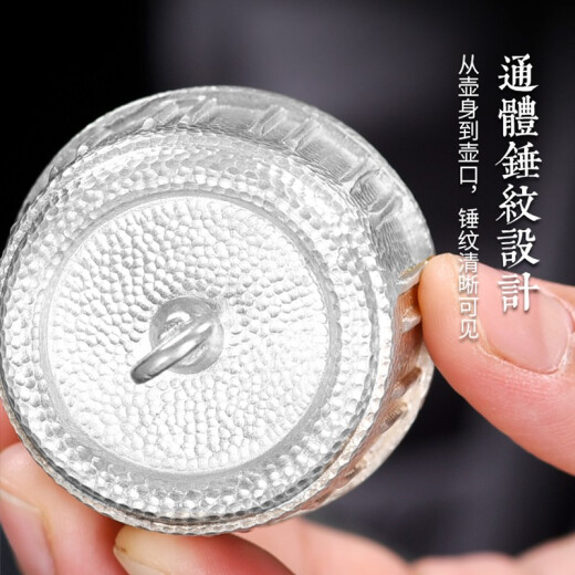 Baoqin clásico de plata esterlina hervidor de plata, 999 copo de nieve de plata hecha a mano al aire libre viaje al aire libre botella de agua fría botella de vino, olla boutique 655g + certificado