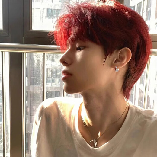 BJYL red earrings for men, high-end, handsome earrings for ear piercing, niche design earrings, female earrings, gift for boyfriend, single