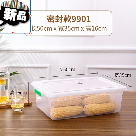 Cangsu-Lebensmittelbox, Kunststoff-Aufbewahrungsbox mit Deckel, Crisper-Box, kommerzielle rechteckige Kühlschrank-Spezialbox, großes Fassungsvermögen, keine Schnallendichtung, Modell 9901, 50 x 35 x 16 cm
