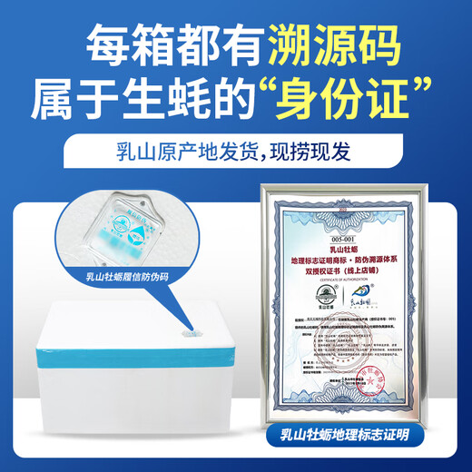 Bassling Fresh Rushan Oysters 4XL Net Weight 10Jin Jin is equal to 0.5kg 20-26 pieces Straight from the source