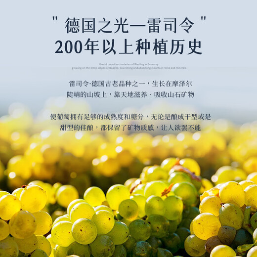 露颂德国雷司令半甜白葡萄酒原酒进口微醺果酒无香槟杯750ML单支尝鲜