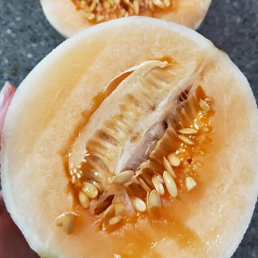Yuhenong White-skinned Muskmelon Seeds, Melon Seeds with Thin, Crisp and Sweet Skin, North and South, Extra Large White-Sand Honey Melon Seeds, About 50 capsules/bag