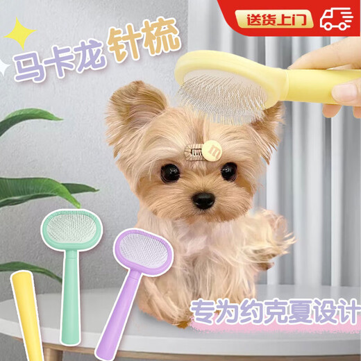 OUOETY Yorkshire comb special comb for puppies, hair pulling and knotting artifact, needle comb, hair knotting, puppy supplies, green mini needle comb + small face comb