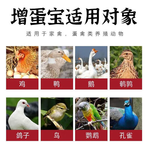 Zengdanbao Danduoduo feed additive wake-up medicine for hens, ducks and geese, special egg-stimulating spirit for hens, ducks and geese that cannot lay eggs in cold weather, 1 bag (1000g)