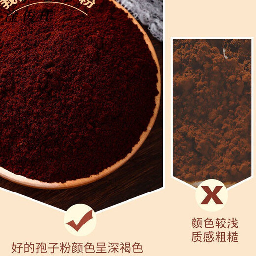Ganjunzhuang authentic Ganoderma spore powder Changbaishan self-produced and self-sold robe powder Northeast specialty spore powder 1 bottle 250g Changbaishantou Dao powder