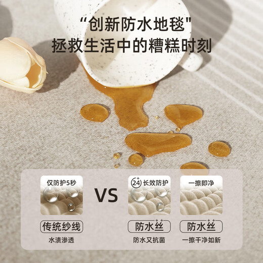 何佳功客厅地毯轻奢高级2025新款防水免洗卧室沙发地毯隔音大面积 拾温-15843 140cm*200cm【适合2-3人小沙发】