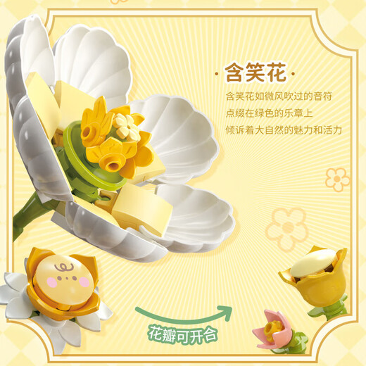费米儿童拼装积木玩具男女孩生日礼物肉肉酱花朵留声机S34004