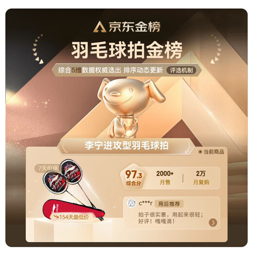 李宁（LI-NING）羽毛球拍中杆碳素280碳复合对拍AYPV069-22 (穿线含羽毛球手胶）