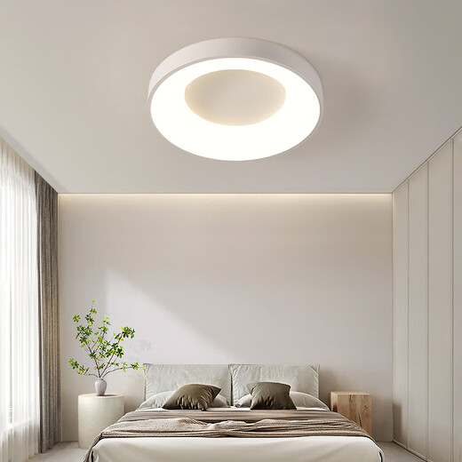 Lan Cai and Guangdong Zhongshan Lighting Collection Bedroom Lamp Ceiling Lamp Room Master Bedroom Lamp LED Minimalist Dining Room Children's Room Lamp Moon 48cm-White Light-48