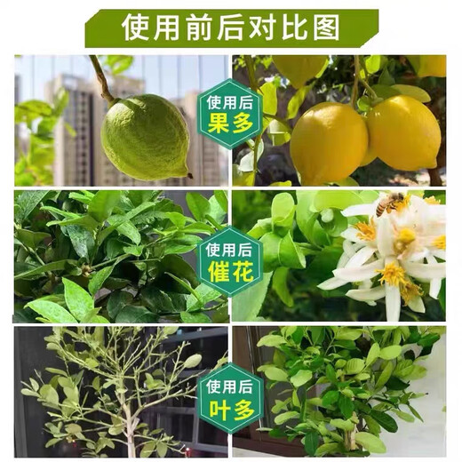 Stanley Stanley Compound Fertilizer Universal Vegetable Agricultural Flower Fertilizer Planting Vegetables Organic Fertilizer Green Plant Potted Nitrogen Phosphorus Potassium Fertilizer Universal Compound Fertilizer 1Jin Jin is equal to 0.5 kg